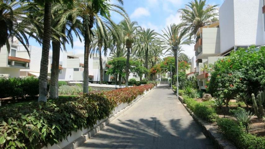 South Tenerife 471