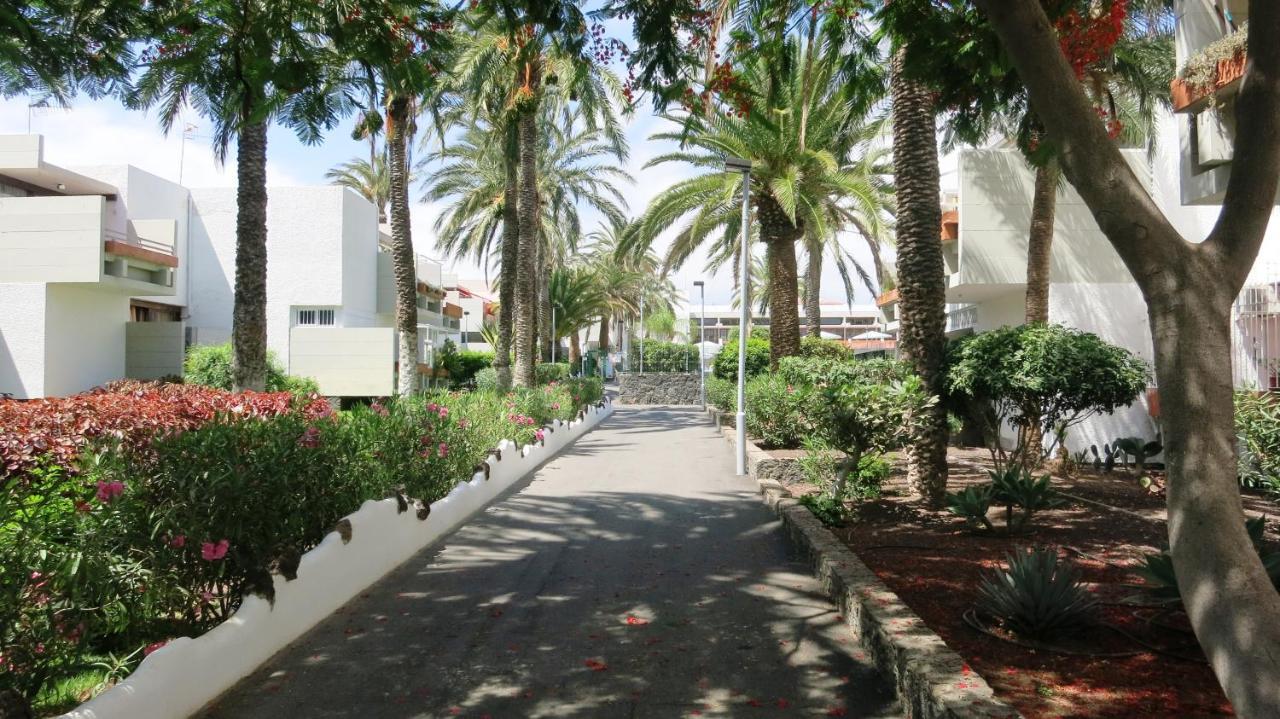 South Tenerife 471