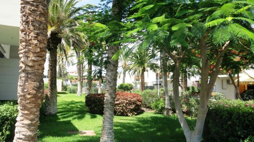 South Tenerife 471 Apartment *
